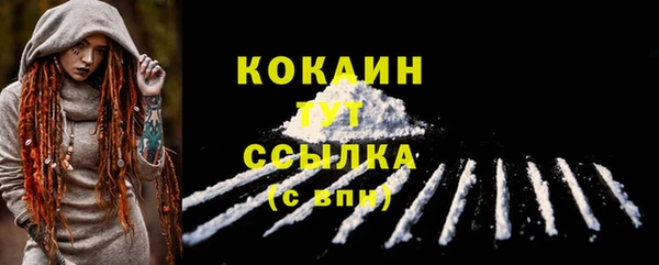 стафф Бородино