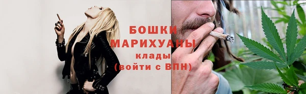 сатива Волоколамск