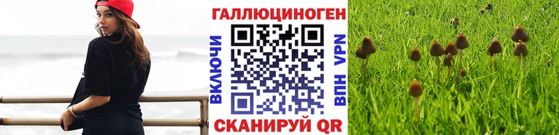 Галлюциногенные грибы ЛСД  сайты даркнета клад  Сретенск 