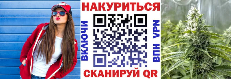 купить   Сретенск  Бошки Шишки ГИДРОПОН 